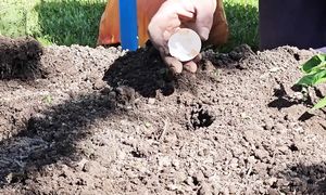 Как живут люди в деревне! Наш огород и счастье в мелочах...