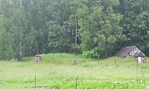 Мы сами выбрали скромную жизнь в глуши около исчезающей деревни. Богатство в мелочах