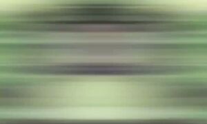 Муравьи есть, а тли нет  Как такое возможно