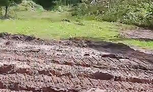 Building My Dream Driveway  From Mess to Marvel!