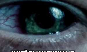 Внешность Меропы Мракс