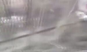 Да, твою ДИВИЗИЮ! Подогнали тачку чтобы вытянуть этого мутанта из озера.