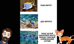 Приколы! ???? НА НАС НАПАЛА ОСЕНЬ! Смешные видео - Доми шоу!