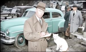 Как домашние животные разоблачили настоящих убийц  - ФЕНОМЕН (1080p, h264)