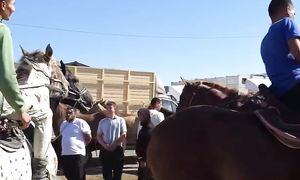 Карабулак мал базар