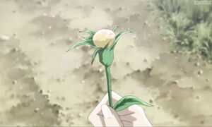 NANA - EP22