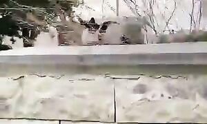 Она всегда первая со мной здоровается! #казахстан #вэнлайф #aktau #aqtau #актау