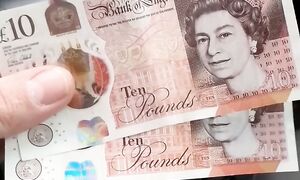 ИЗ ЛИТВЫ В АНГЛИЮ МЫТЬ  УНИТАЗЫ