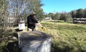 ЧЕЛОВЕК ШЕСТЬ ЛЕТ ЖИВЕТ в БЕЛАРУССКОЙ ЛЕСНОЙ ГЛУШИ. №361