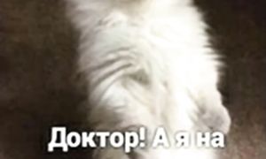 Приколы!  ПРИЗНАКИ УСПЕШНОГО ЧЕЛОВЕКА! Смешные видео - Доми шоу!