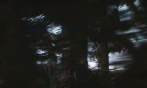 «Хищник_ Планета_ Смерти» (2025) новый трейлер