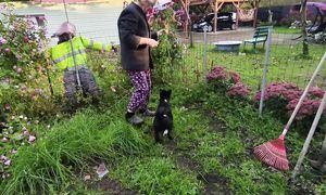 У НАС В СЕМЬЕ ПРОИЗОШЛИ БОЛЬШИЕ ИЗМЕНЕНИЯ