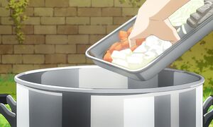 Campfire Cooking S2 - 03 [SUB]