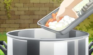 Campfire Cooking S2 - 03 [DUB]