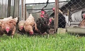 Двое из деревни! Работа, ЛЮБОВЬ, быт и сказка межсезонья