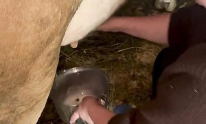 Больше видео в моём тг канале. Ссылка в описании