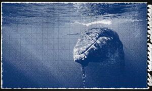 Об этом вы даже НЕ ДУМАЛИ!