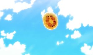 Campfire Cooking in Another World S2 - 12 [SUB]