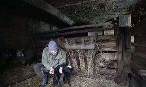 МАЛЫШЕЙ РОДИЛОСЬ СТОЛЬКО , ЧТО НОВЫЙ ГОД ОТМЕНЯЕТСЯ! №371