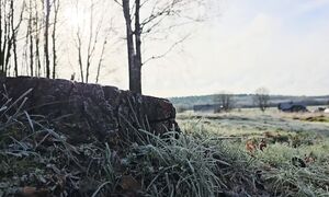 Жена УЕХАЛА. Остался ОДИН в деревне среди мыслей, животных и работы.