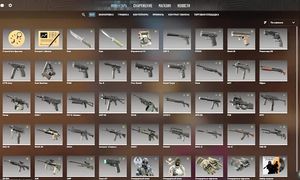 Притворился Поляком, чтобы Пройти Проверку в CS2