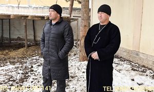 Zottar buqalar keldi Bumba polvon