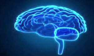 ТОПОЛЬ  против онко