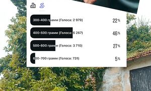 Мы купили ГИГАНТСКИЙ АВОКАДО! Это ШОК! #keydom2 #дерево #реконструкция #дом #португалия