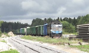 Тепловоз ТЭП70S-0229 на ст. Вягева _ TEP70S-0229 at Vägeva station