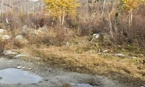 Ну всё! 7,8 вольта показывает!