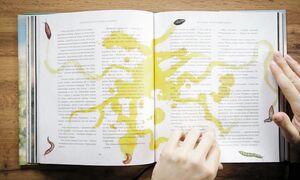 Обзор книги Гарри Поттер и Тайная Комната  Джим Кей  Джоан Роулинг  Гарри Поттер #гаррипоттер