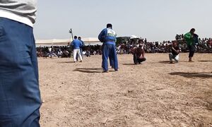 Zoxid polvon Dadaxon polvon