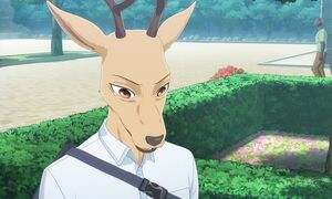 Выдающиеся звери: Финал / Beastars: Final 3 сезон 20 серия озвучка LE-Production