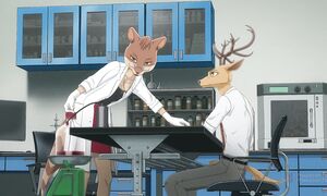 Выдающиеся звери: Финал / Beastars: Final 3 сезон 23 серия озвучка LE-Production