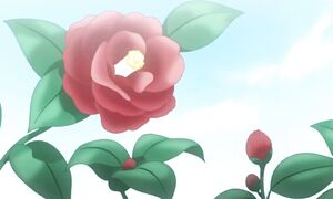 KamisamasKocna_EP4