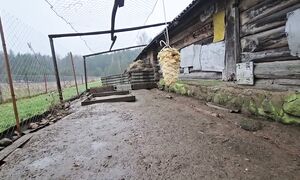 Живу один в исчезающей деревне. Не все так уж и плохо...