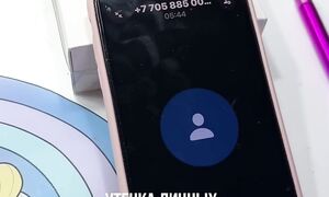 Мошенники в Казахстане