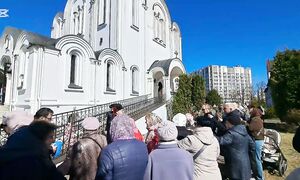 594. Подарок! Вербное воскресенье! Необычная птица во дворе Минск. Беларусь.