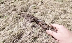 Долбаный папуас!!! ДА КАК ЕЁ ВЫТАЩИТЬ Это немцы забыли её здесь.