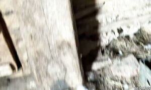 Қой қырқу. Индоуткалардың жағдайы. 26.04.2026